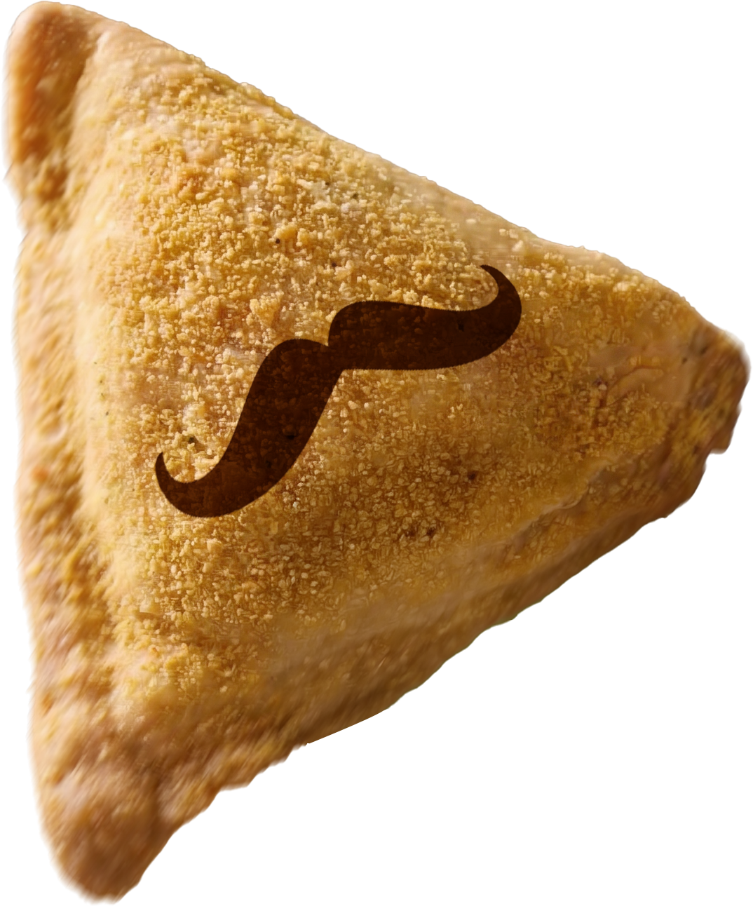 Samosa Singh signature samosa